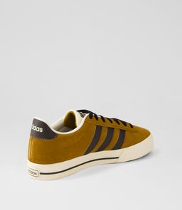 DAILY 3.0 M AD BRONZE BROWN ECRU CANVAS