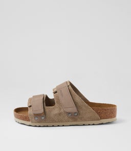 UJI BK TAUPE NUBUCK SUEDE