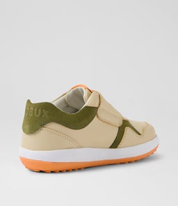 KP BASELINE BQ WOODASH SEA KELP MULTI
