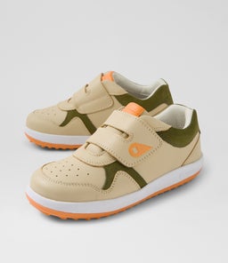 KP BASELINE BQ WOODASH SEA KELP MULTI