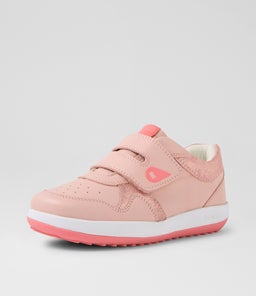 KP BASELINE BQ ROSEWATER MULTI