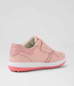 KP BASELINE BQ ROSEWATER MULTI