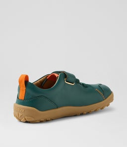 KP PRIME BQ RAINFOREST LEATHER