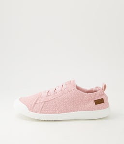 VEX BW SILVER PINK DAISY CANVAS