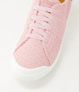 VEX BW SILVER PINK DAISY CANVAS