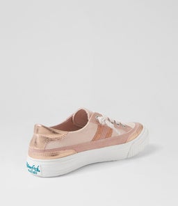 ALEX BW ROSE GOLD MULTI