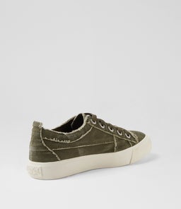 VIVID BW OLIVE CANVAS