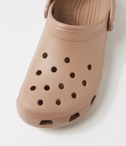 CLASSIC CLOG M CC LATTE CROSLITE