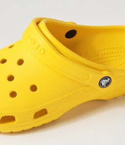 CLASSIC CLOG M CC SUNFLOWER SMOOTH