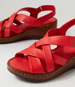 JITARE CF RED LEATHER