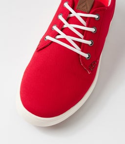 NEXUS CF CRIMSON CANVAS