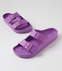 PALM S CF VIOLET EVA