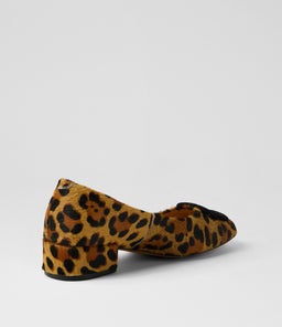 INDIARNA DF TAN LEOPARD PONY
