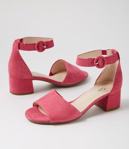 ERIKA GA CAMELIA SUEDE