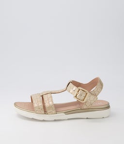 D S.HIVER B GE LIGHT GOLD CROC LEATHER