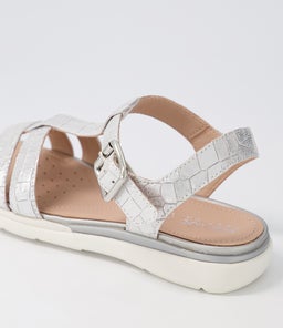 D S.HIVER B GE SILVER CROC LEATHER