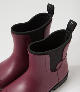 STORMI HP SHIRAZ RUBBER