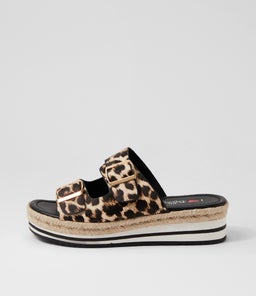 COACHI IL LEOPARD BLACK SOLE SMOOTH