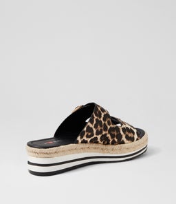 COACHI IL LEOPARD BLACK SOLE SMOOTH