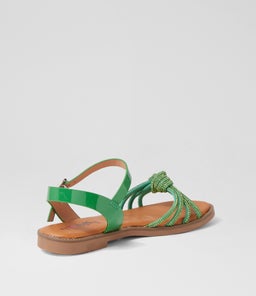 AIMIE IL GREEN MULTI