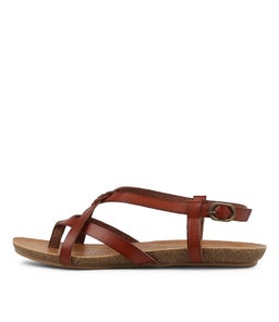 GINNIE IL BROWN SMOOTH