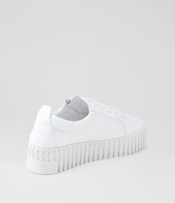 BASIKO IL WHITE SMOOTH