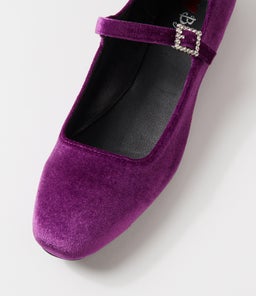 SHALI IL PURPLE VELVET