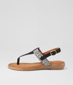 MARTINA IL BLACK CHEETAH MULTI