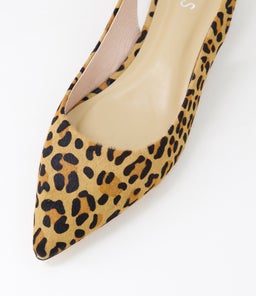 THELMA MI LEOPARD PONY