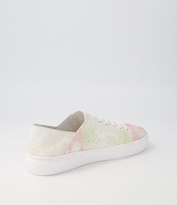 OSKHER PASTEL REPTILE