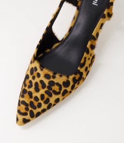 GILD MO LEOPARD PONY