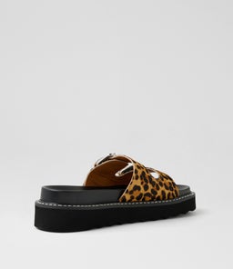 LILIANA MO LEOPARD PONY