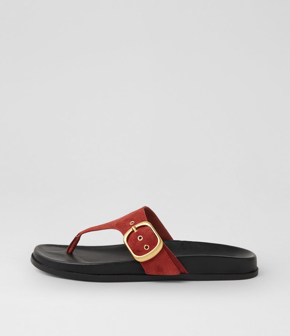 Hectore Earth Black Suede Thongs