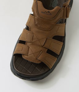 REVOLTED SS NORVEL SK DARK BROWN SMOOTH