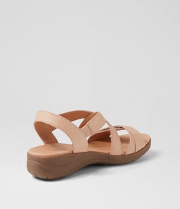MOMENTUM SU DK NUDE GUM SOLE LEATHER