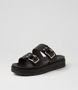 LITMUS TH BLACK SMOOTH