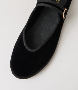 ALEGRIA TH BLACK VELVET