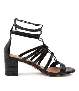 GASPAR TO BLACK CROC
