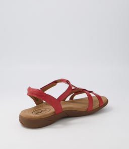 TROPHY 2 TS RED LEATHER