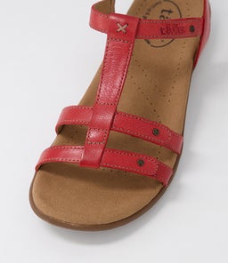 TROPHY 2 TS RED LEATHER