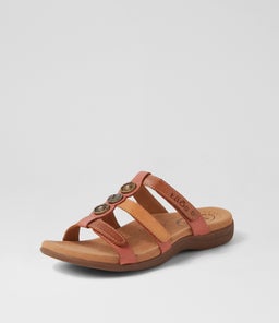 PRIZE 4 TS HARVEST MULTI LEATHER