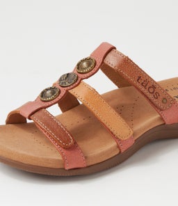 PRIZE 4 TS HARVEST MULTI LEATHER