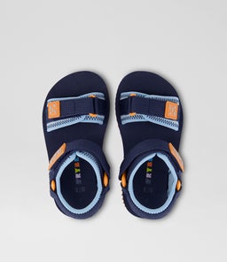 BILLIE BEACH TDLR TY NAVY LIGHT BLUE NEOPRENE