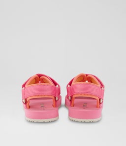 BILLIE BEACH TDLR TY PINK NEOPRENE