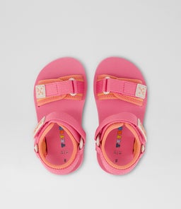 BILLIE BEACH TDLR TY PINK NEOPRENE