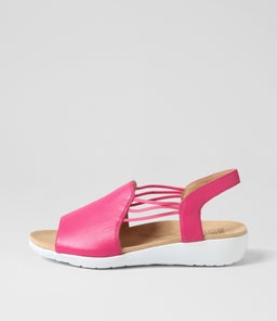 UDHAYS W ZR FUCHSIA LEATHER ELASTIC