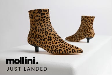 Mollini